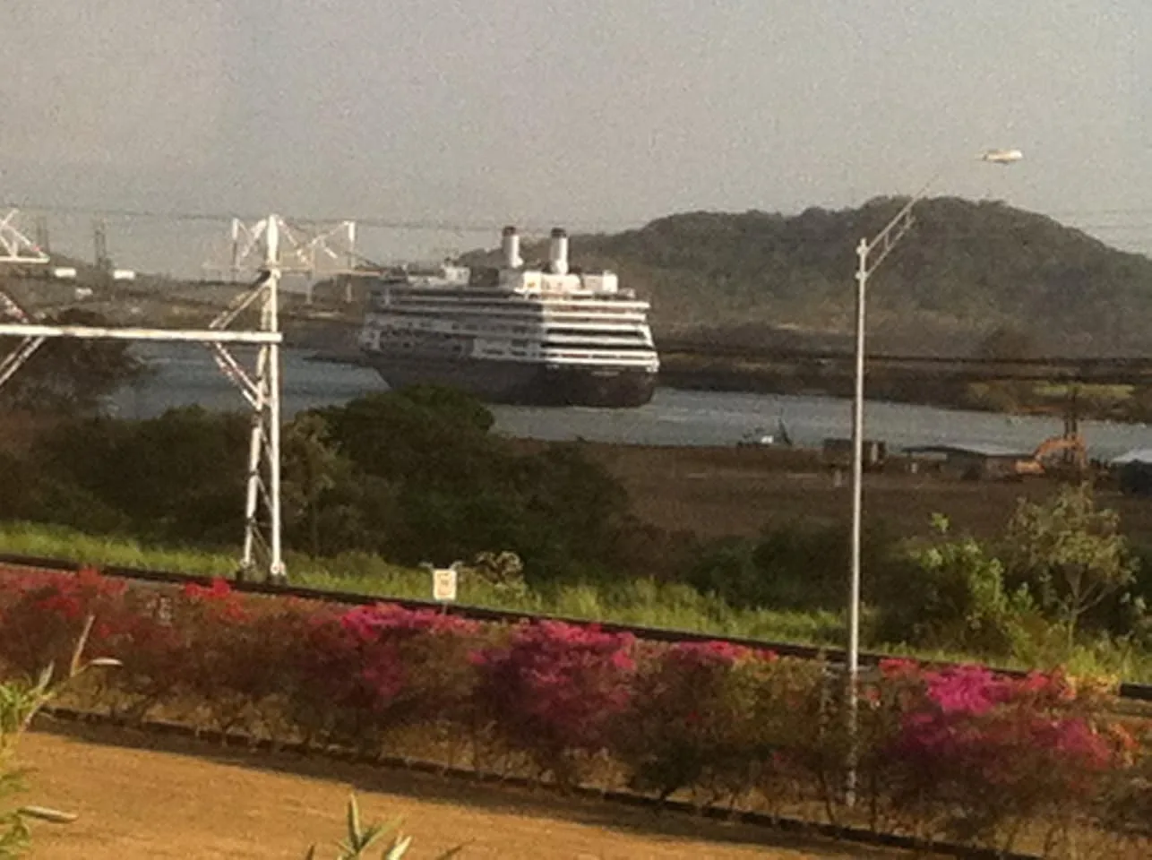 A large white cruise ship passes through the Panama Canal beyond power towers, green brush and a row of pink flowering bushes.