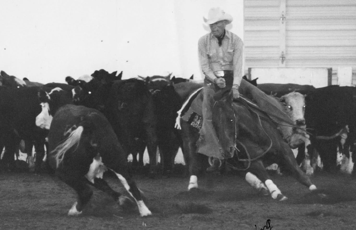 Black-and-white photo of a rider in a cowboy hat on a cutting horse, turning sharply to hold a calf away from a herd of cattle.