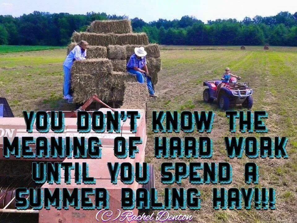 People stacking square hay bales on a wagon in a green field while a child rides an ATV nearby. Text reads: You don't know the meaning of hard work until you spend a summer baling hay!!!