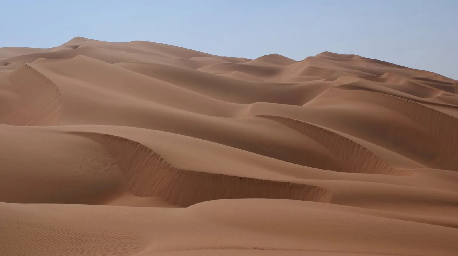 Vast rolling sand dunes with sharp wind-carved ridges stretch to the horizon under a pale blue sky.