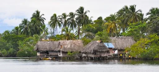 Thatched-roof stilt houses stand over calm water along a shoreline lined with tall palm trees.