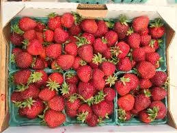A flat of fresh red strawberries packed in green cardboard baskets.