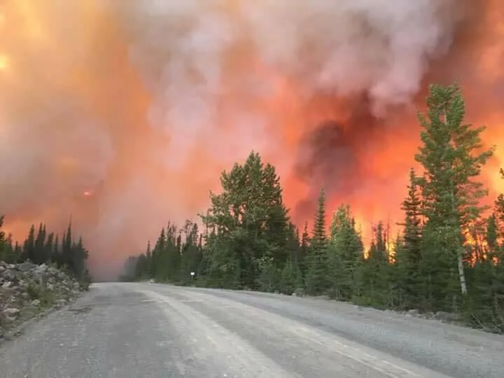 A gravel road leads into dense orange and grey wildfire smoke, with green evergreen trees lining the roadside.