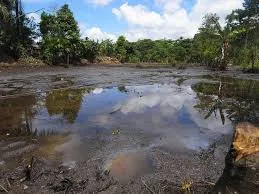 A wide, muddy pool of dark polluted water reflecting the sky, surrounded by blackened ground and tropical forest.