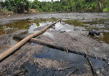 Oil-soaked ground with pools of dark, sheened water, a fallen log and debris lying across the contaminated site, with jungle behind.