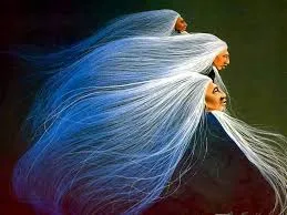 Painting of three elders in profile, one behind another, their long flowing white hair streaming back like wind across a dark blue background.