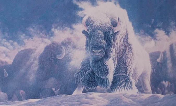 Painting of a white buffalo striding through snow toward the viewer, frost on its shaggy coat, with a herd of dark bison emerging from mist behind it.
