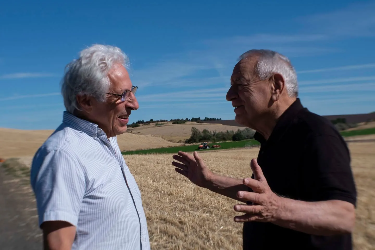 Two white-haired older men talk animatedly on a roadside beside golden harvested fields under a blue sky, a tractor in the distance.