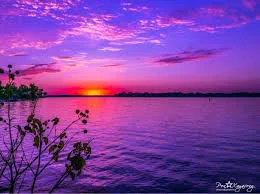 A vivid sunset over a calm lake, with purple and pink clouds glowing above the water and the silhouette of leafy branches in the foreground.
