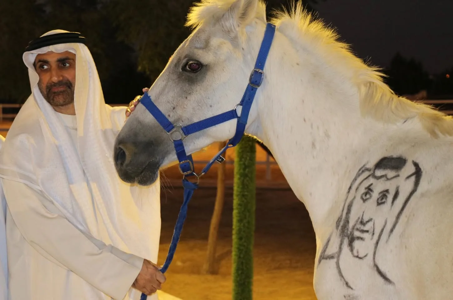 A man in a white kandura and headdress holds the blue lead of a white horse with a charcoal portrait sketch drawn on its shoulder.
