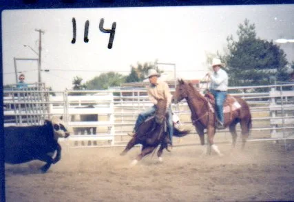 Two riders on horseback in a rodeo arena as a black cow runs ahead; the number 114 is written on the photo.