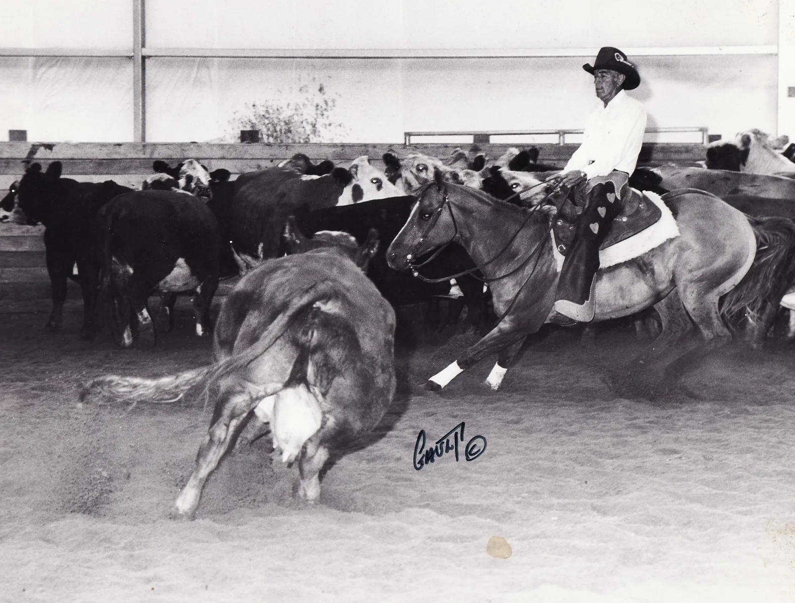 Black and white photo of a rider in a cowboy hat cutting a cow from a herd in an indoor arena.