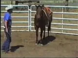 Small blurry picture of a man standing in an arena beside a saddled horse.