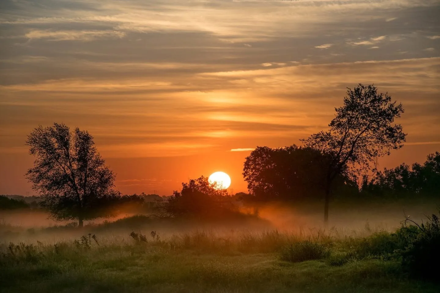 A bright sun rises through an orange sky streaked with clouds, above a misty meadow framed by silhouetted trees.
