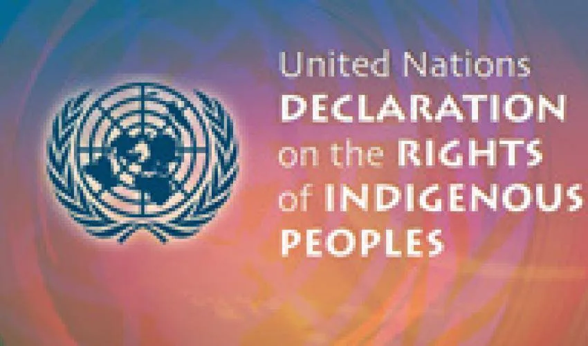 United Nations emblem beside the words "United Nations Declaration on the Rights of Indigenous Peoples" on a swirling blue, purple and orange background.