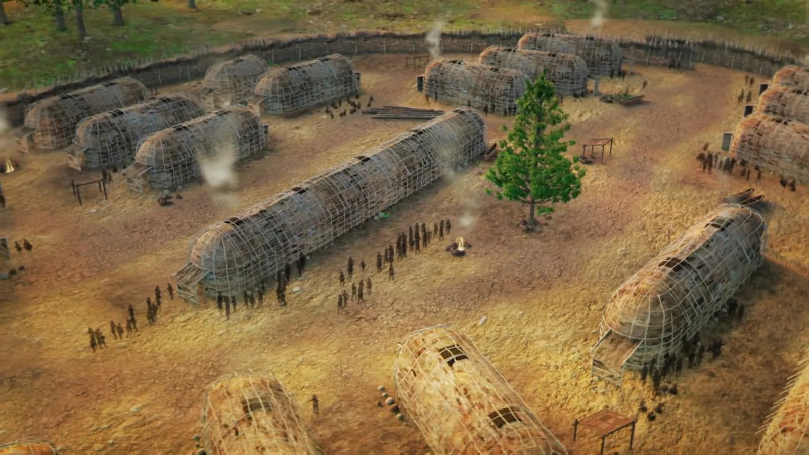 Illustrated aerial view of a palisaded village of long bark-covered longhouses, with smoke rising, a tall pine tree, and lines of people walking between the houses.