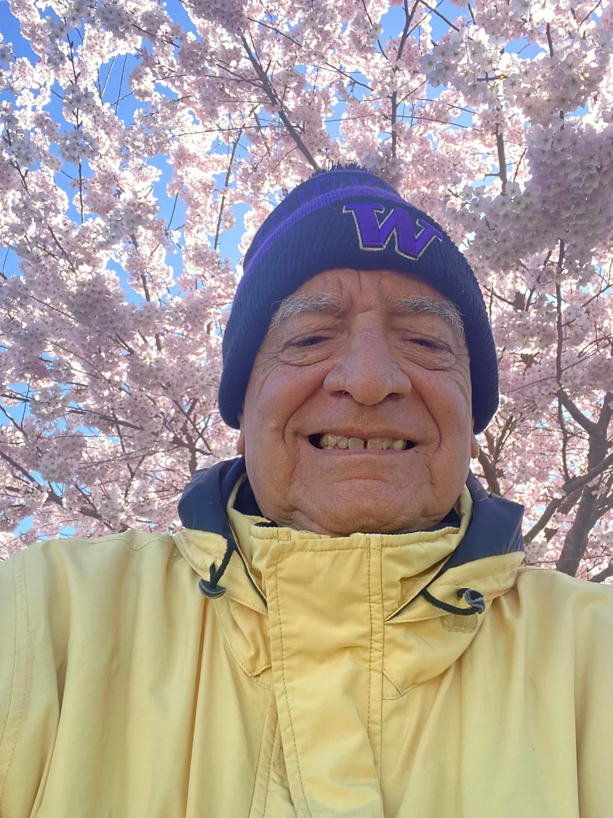 Hereditary Chief Phil Lane Jr. smiling in a selfie beneath a canopy of pink cherry blossoms against a blue sky, wearing a purple UW knit hat and a yellow jacket.
