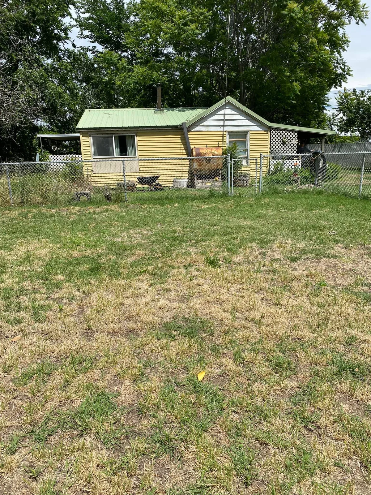 A small yellow house with a green metal roof behind a chain-link fence, shaded by tall trees, with a patchy lawn in the foreground.
