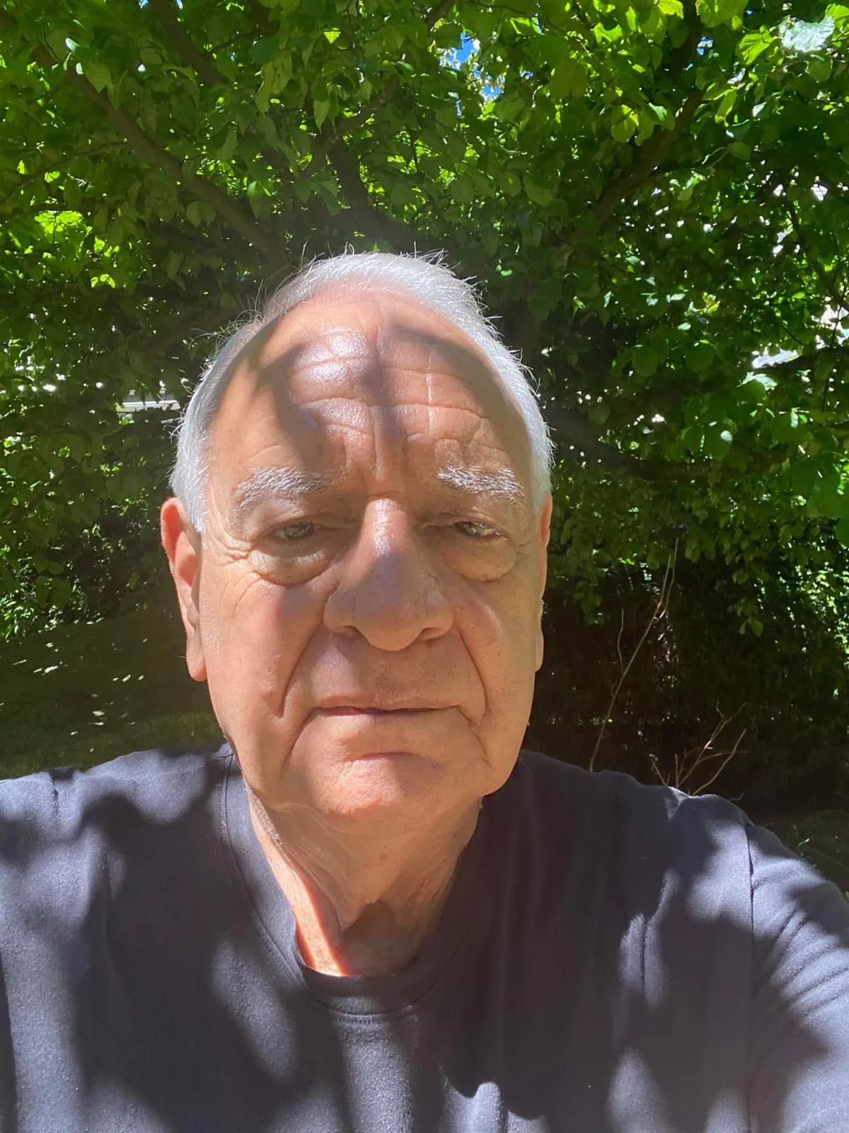 Phil Lane Jr., an older man with white hair in a dark T-shirt, takes a selfie in dappled sunlight beneath the green leaves of a large tree.