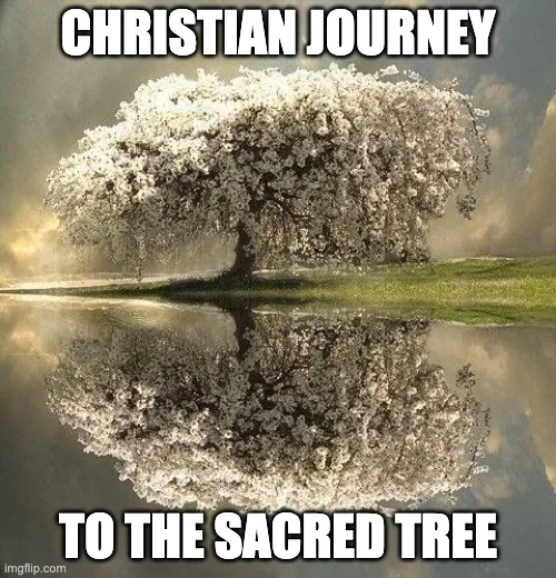 A large tree covered in white blossoms reflected in still water under a cloudy sky, with the words "Christian Journey to the Sacred Tree."
