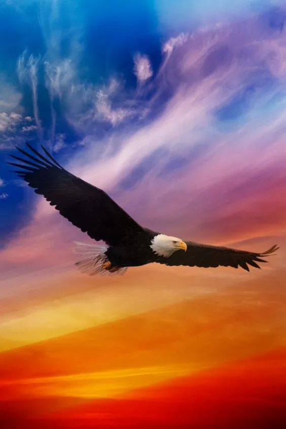 A bald eagle with wings spread wide soars across a vivid sky of blue, pink and purple clouds above a glowing orange and red sunset.