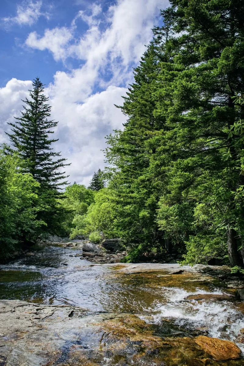 A clear mountain stream flows over smooth, flat rocks between tall evergreen trees under a blue sky with billowing white clouds.