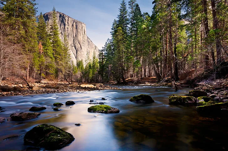A clear mountain stream flows over mossy rocks through a pine forest, with a towering granite cliff rising under a blue sky.