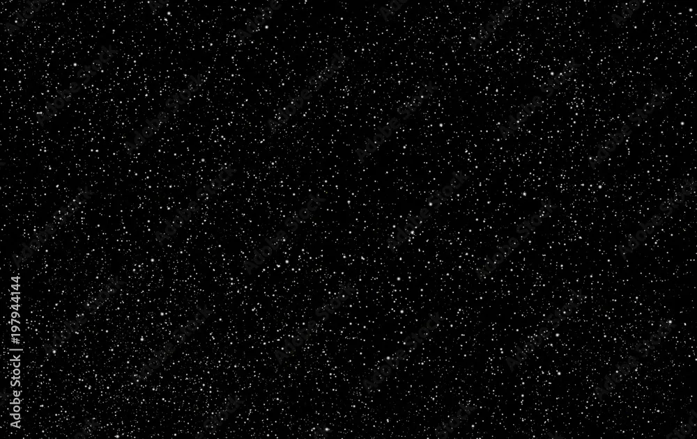 A black night sky densely scattered with countless white stars of varying brightness.