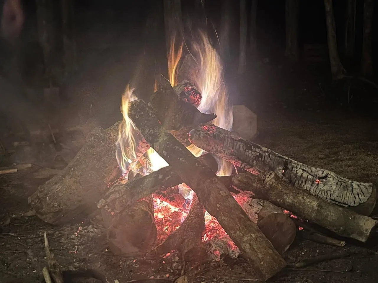 A ceremonial fire burns at night, with large logs stacked over glowing red embers and bright flames, dark trees in the background.