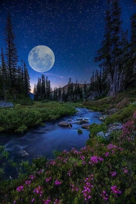 A full moon glows in a starry night sky above a mountain stream flowing between evergreen trees, with pink wildflowers in the foreground.
