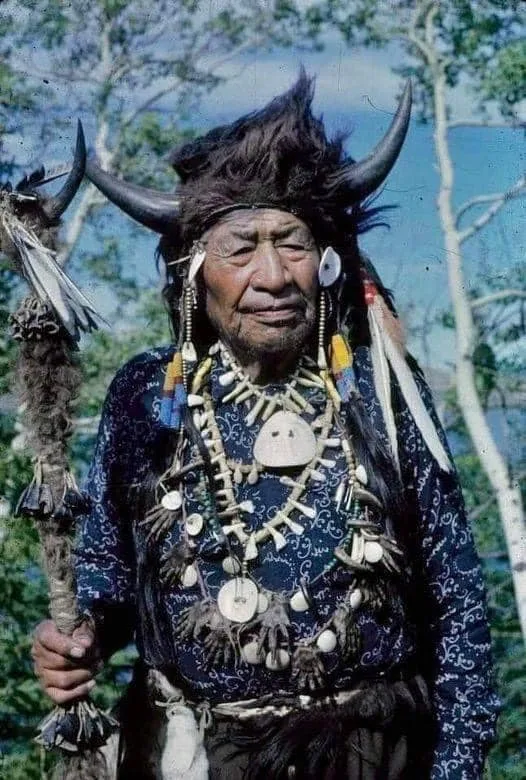 Walking Buffalo, an elder in a horned buffalo-fur headdress, shell and claw necklaces and a patterned blue shirt, holds a feathered staff among birch trees.