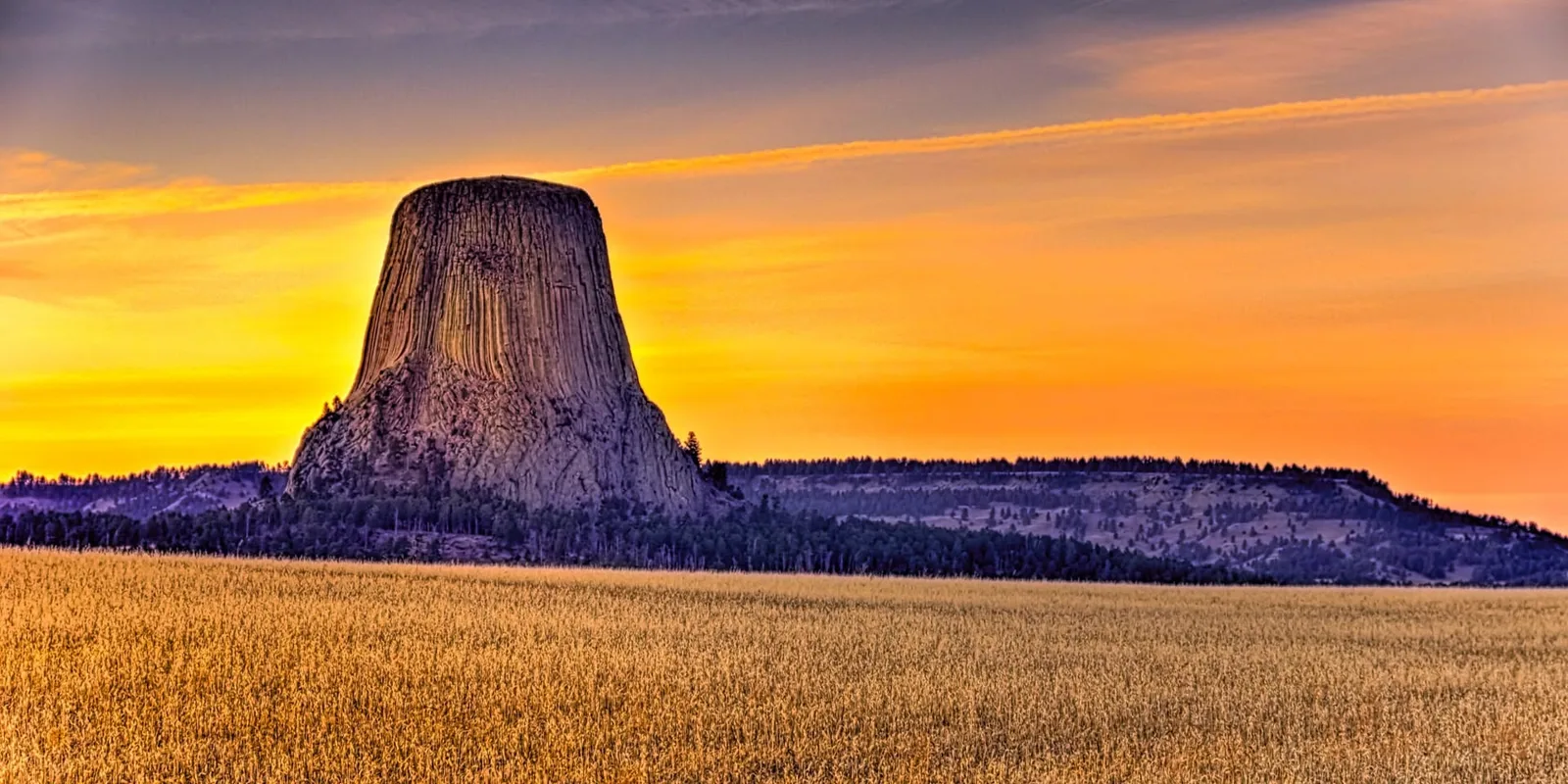 Matȟó Thípila, Bear's Lodge, a towering column of ridged rock rising above pine-covered hills and a golden grass field under an orange sunset sky.