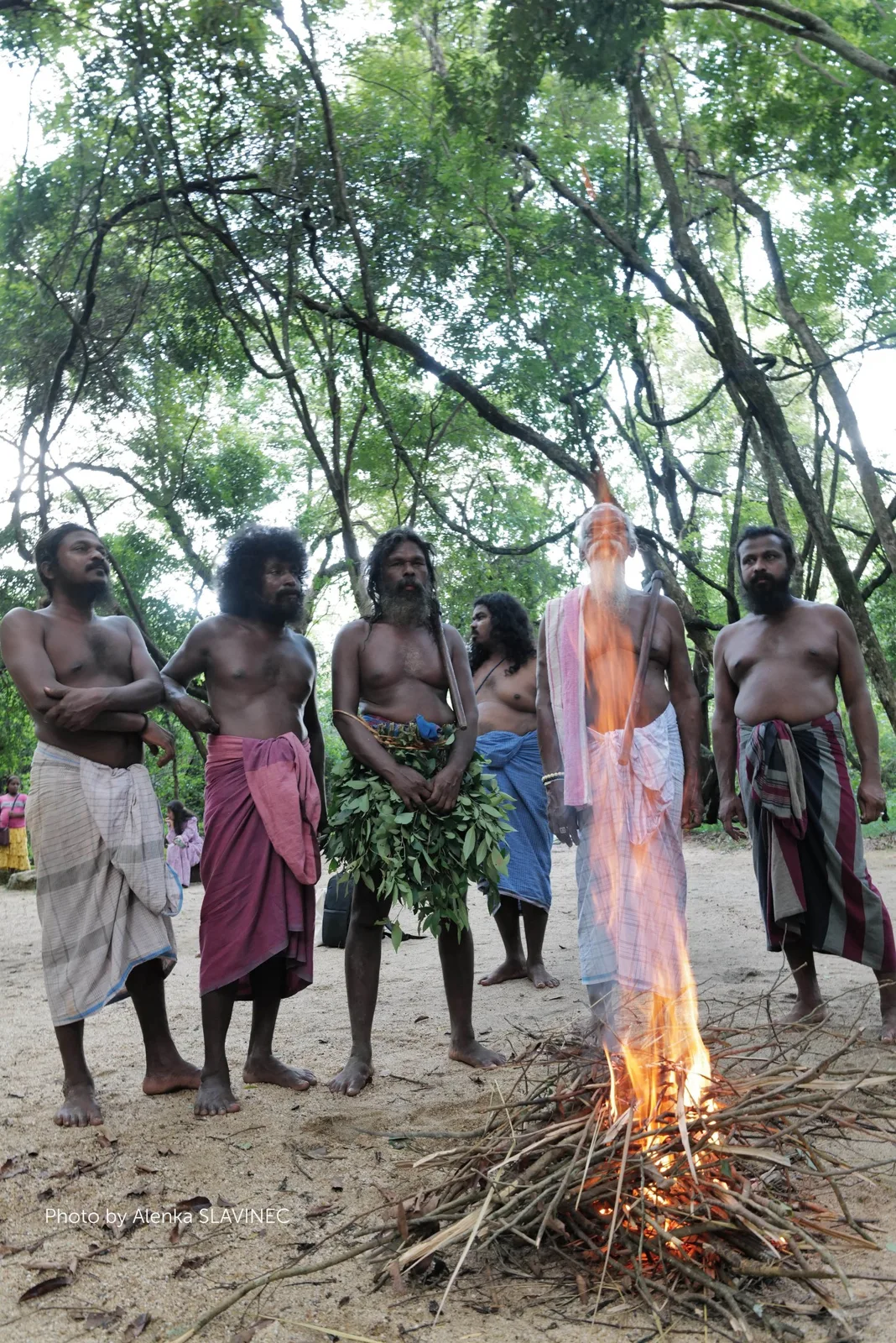 Six bare-chested Vedda men in sarongs, one wearing a skirt of leaves, stand barefoot beneath tall trees around a blazing fire of stacked branches. An elder with a long white beard stands closest to the flames.