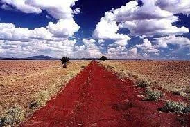 A straight red dirt path runs through dry grassland toward a distant horizon under a deep blue sky filled with white clouds.