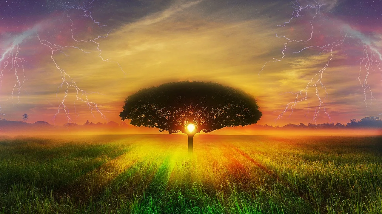 A lone, broad-canopied tree silhouetted against a glowing sun in a golden field of grass, with lightning streaking across a colorful sunset sky on both sides.