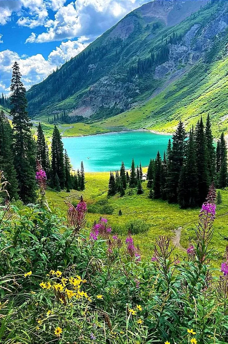 A turquoise mountain lake ringed by tall pines and green meadows beneath a steep mountainside, with pink fireweed and yellow wildflowers in the foreground.