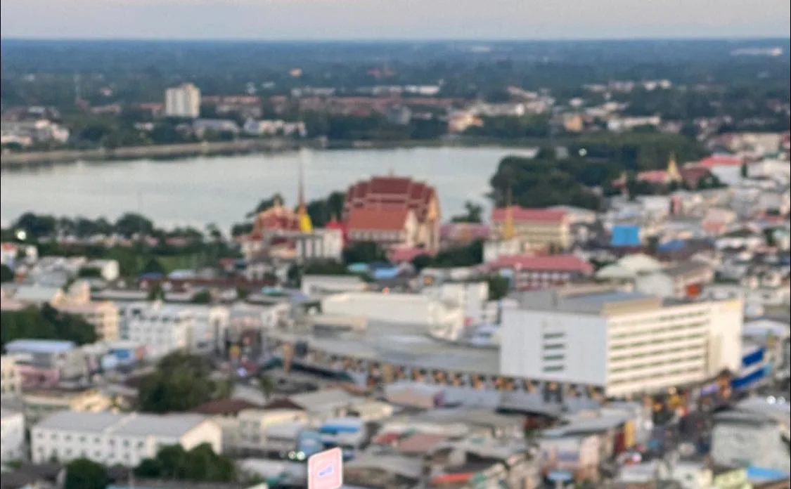 Elevated, slightly blurred view over a city toward a lake, with a red-roofed Buddhist temple and golden spires among trees and buildings near the shore.