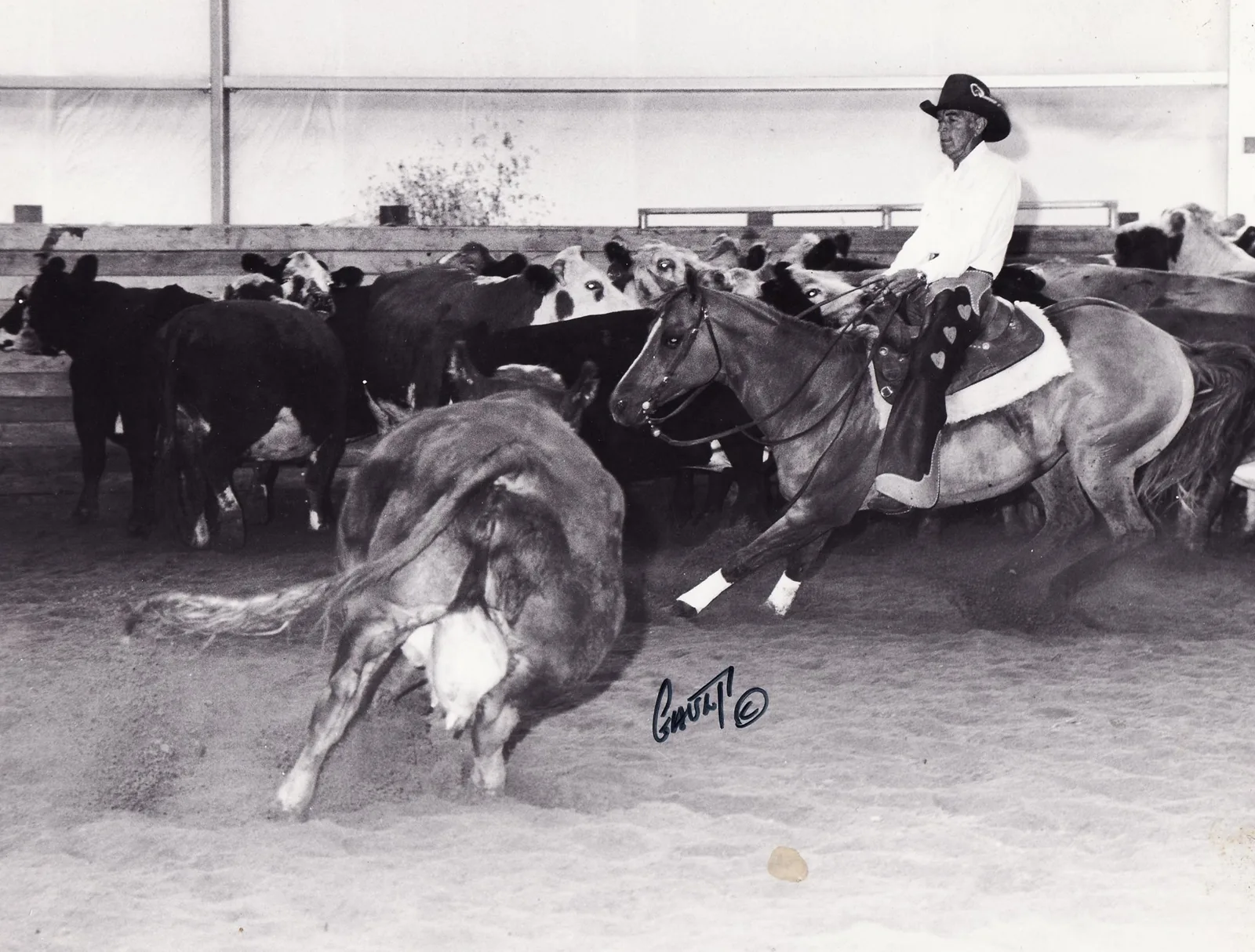 Black-and-white photo of a rider in a cowboy hat, white shirt and heart-patterned chaps on a horse, cutting a cow away from a herd in an indoor arena.
