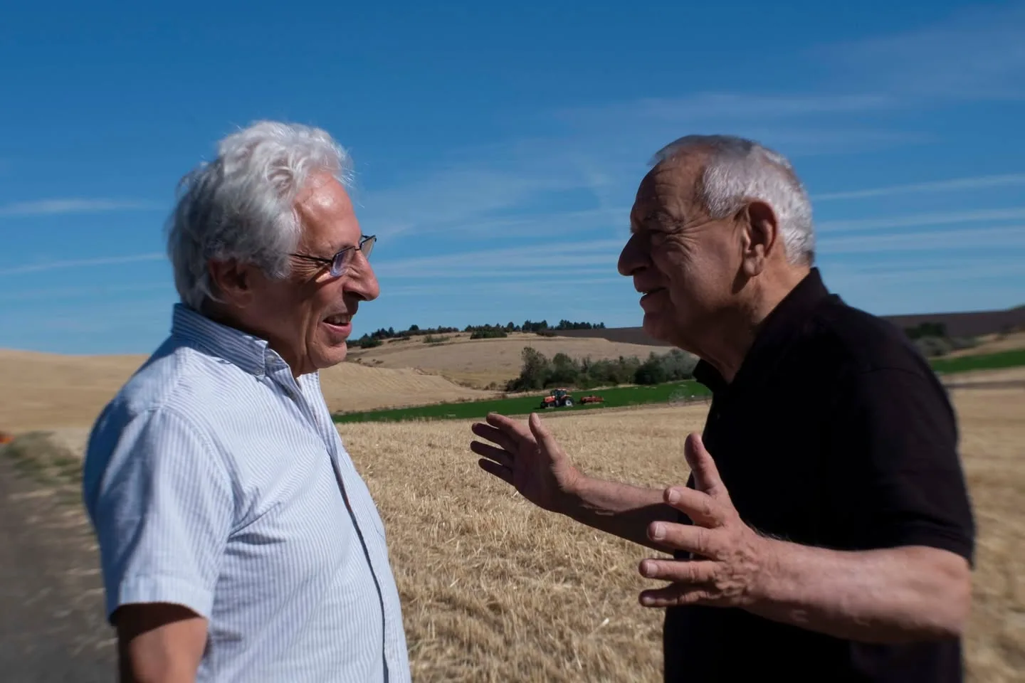 Two white-haired men talk and laugh beside a golden wheat field under a blue sky, one in a striped shirt and glasses, the other in black gesturing with both hands.